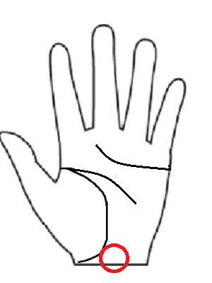 手相　冥王星丘（地丘）　場所　画像　手相後藤